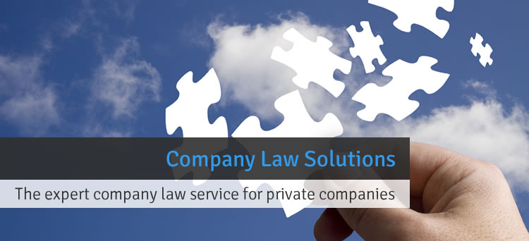 Company Law Solutions